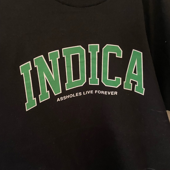 Indica university ALF - Picture 1 of 1